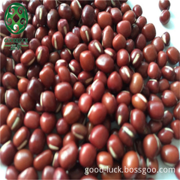 Chinese Red Adzuki Bean,small red bean,High Quality